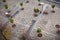 Aerial view. Modern small cobbled square with parking bikes, bic