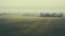 Aerial View Of Moody Foggy Field In Midwest Gothic Style