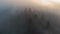 Aerial view of moody landscape above foggy forest with pine trees covering mountain hills at sunset.