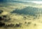 Aerial view of Morning fog and sunrise in autumn near Stowe, VT on Scenic Route 100