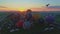 Aerial view of a morning launch of hot air balloons at a hot air balloon festival at sunrise on a sunny summer day