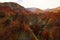 Aerial view of Morricana Waterfalls and the beeches forest during autumn season in Monti della Laga, Abruzzo, Italy