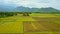 Aerial view motion around tractor driving and harvesting