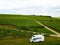 Aerial view: Motorhome stands in the middle of vineyards