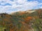 Aerial view of Mountain with California Golden Poppy and Goldfields blooming in Walker Canyon, Lake Elsinore, CA. USA.