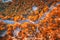 Aerial view of mountain curve road with cars, autumn forest