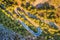 Aerial view of mountain curve road with cars, green forest