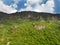 Aerial view mountain. Scenic aerial view from forest to mountain ridge. Above green landscape with sunlight mountains