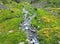 Aerial view mountain stream with colourful stones. Flowing river with smooth stones. Spring water running through different stones