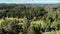 Aerial view of mountain tree garden including eucalypts and conifers