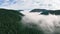 Aerial view of mountainous foggy green forest