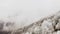 Aerial view of a multicolored, varied and foggy mountain landscape. Snow covered trees on the top of a mountain, no snow