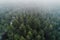 Aerial view of mystery winter forest covered in fog