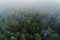 Aerial view of mystery winter forest covered in fog