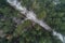 Aerial view of mystery winter forest covered in fog