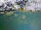 Aerial view of natural fish pond