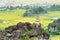 Aerial view of natural karst towers among yellow rice fields