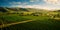 aerial view of neatly arranged vineyard rows in a wine-producing region . Generative AI