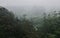 Aerial View of Nuwara Eliya Forest Cloaked in Mist