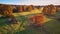 Aerial view of oak trees in autumn, shadow on meadow. Country road on green fields