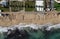 Aerial view of ocean waves breaking on a sandy beach. Beach erosion after coastal flooding.