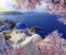 Aerial view of Oia, Santorini, Greece with pink blossoms flowers at beautiful spring sunset