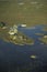 Aerial view, Okavango delta, Botswana.