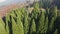 Aerial view of Old Sequoia forest near village of Bogoslov, Bulgaria