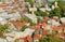 Aerial View of The Old Tbilisi with Many of Orthodox Churches, Georgia