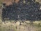 Aerial view of old tires. Many car and truck tires on dump site from above