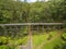 Aerial view of old trestle bridge among ferns and eucalyptuses i