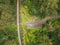 Aerial view of old trestle bridge among ferns and eucalyptuses i