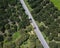 Aerial view of an old truck on a road carrying eucalyptus logs for industrial use. Cultivation and transportation business