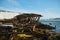 Aerial view of a old wooden ship wreck at the beach. Wreckage of schooner Raketa near a shore.