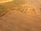 Aerial view of Outback Cattle mustering