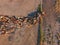Aerial view of Outback Cattle mustering