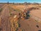 Aerial view of Outback Cattle mustering