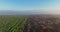 Aerial view over agricultural agronomy fields of wheat plants, sunrise flight with morning fog