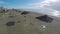 Aerial view over coastline in Larnaca, drone flying above straw parasols