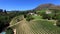 Aerial view over Constantioa vineyards, Cape Town