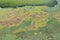 Aerial View over Danube Delta Marshland, Romania