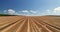 Aerial view over golden wheat field. Harvesting. Combine harvester working.