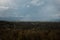 Aerial view over the green forest in evening. Cloudy mystery. Landscapes of Latvia.