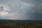 Aerial view over the green forest in evening. Rian over the forest. Cloudy mystery. Landscapes of Latvia.