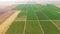 Aerial View Over Green Fruit Gardens