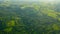 Aerial view of over green landscape at early misty morning