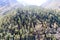 Aerial view over green pine tree forest canopy on Himalayas mountain top. Pine Woods Forest woodland On The Top Of Highland Valley