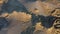 Aerial view over mud volcanoes in Romania