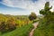 Aerial view over path in Kurortny park