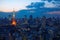 Aerial view over Tokyo tower and Tokyo cityscape at sunset